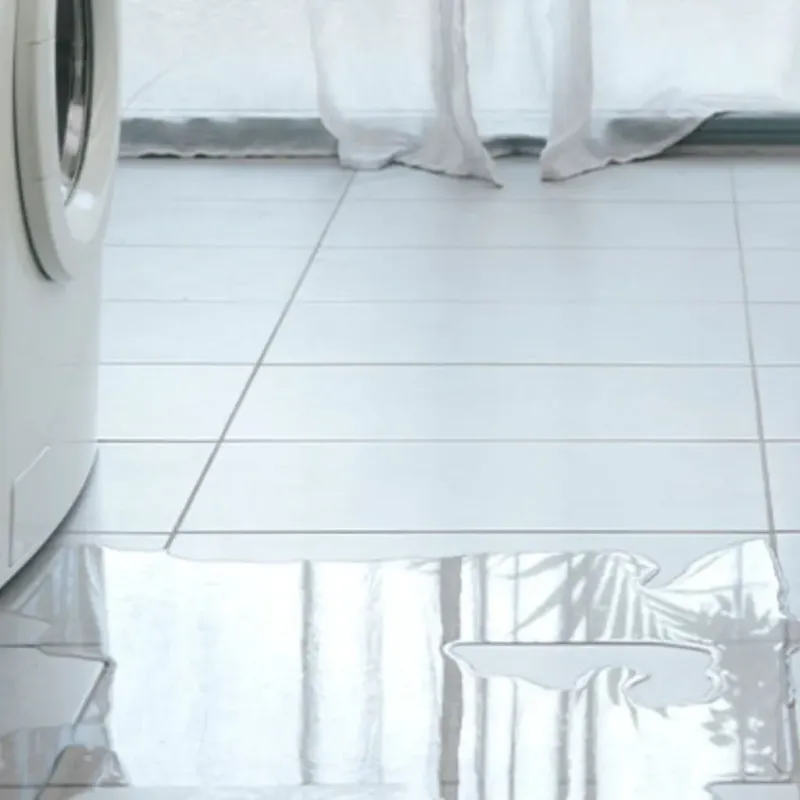 Appliance Leak Cleanup in Mills County, TX