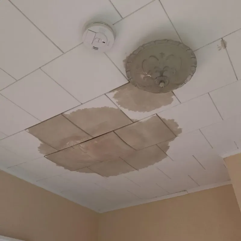 Ceiling Water Damage Repair in Mills County, TX