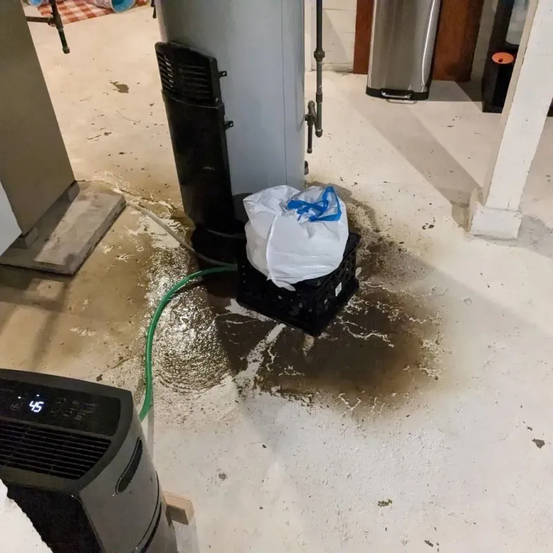 Sewage Backup Cleanup Service in Mills County, TX